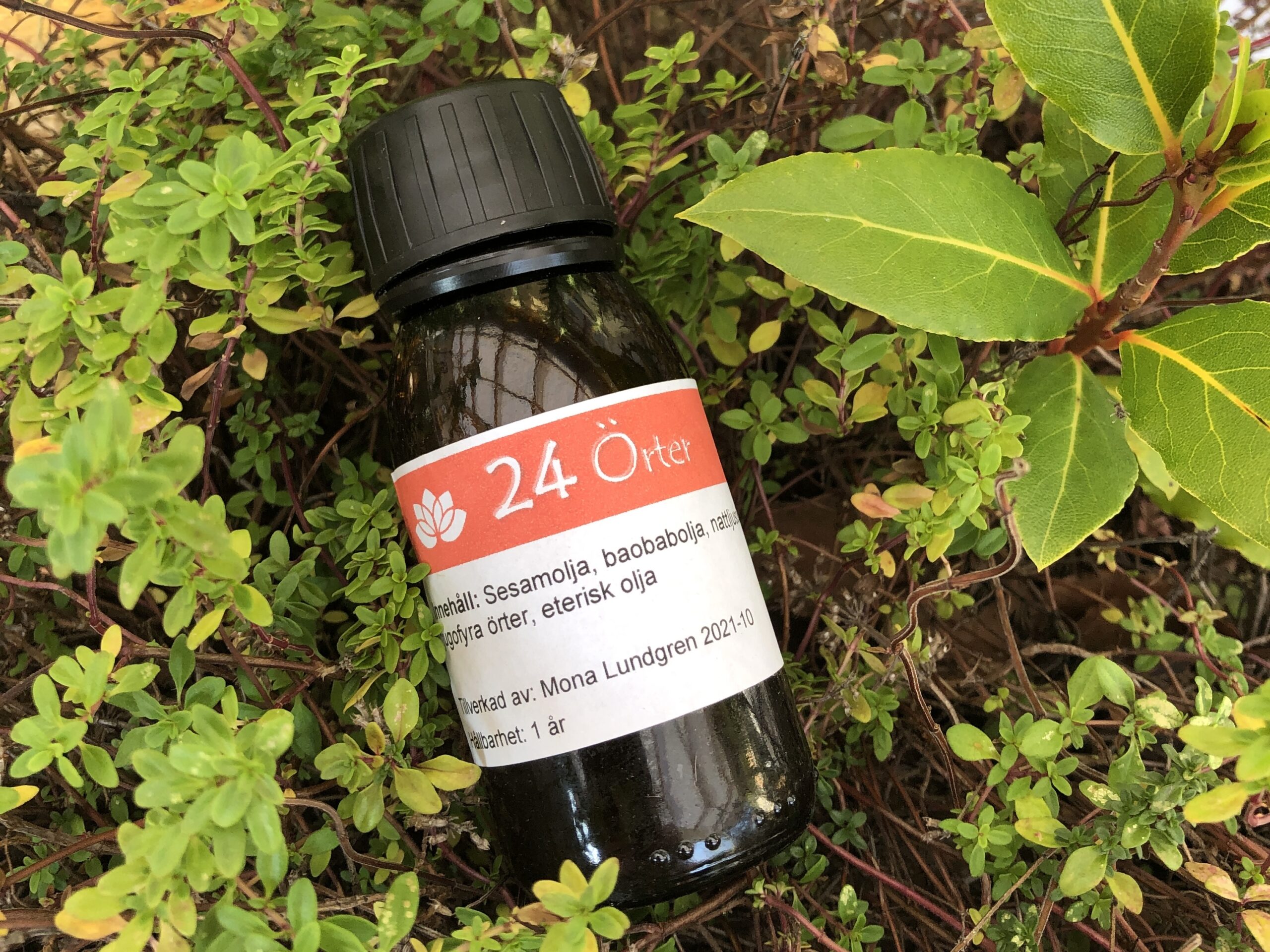 Flaska innehållande örtolja 24 örter ligger bland örter.