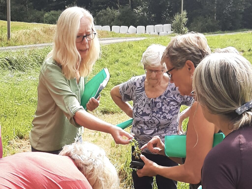 Fem kvinnor delar örtkunskap på örtkurs.