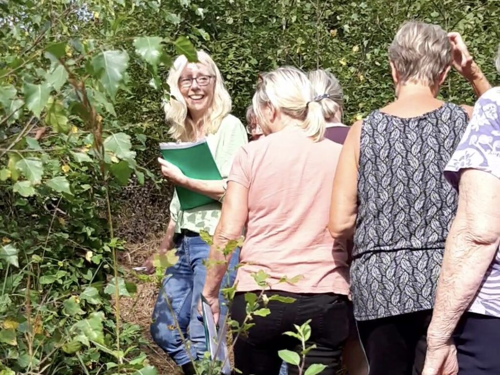 Fem kvinnor går på örtvandring och delar örtkunskap.