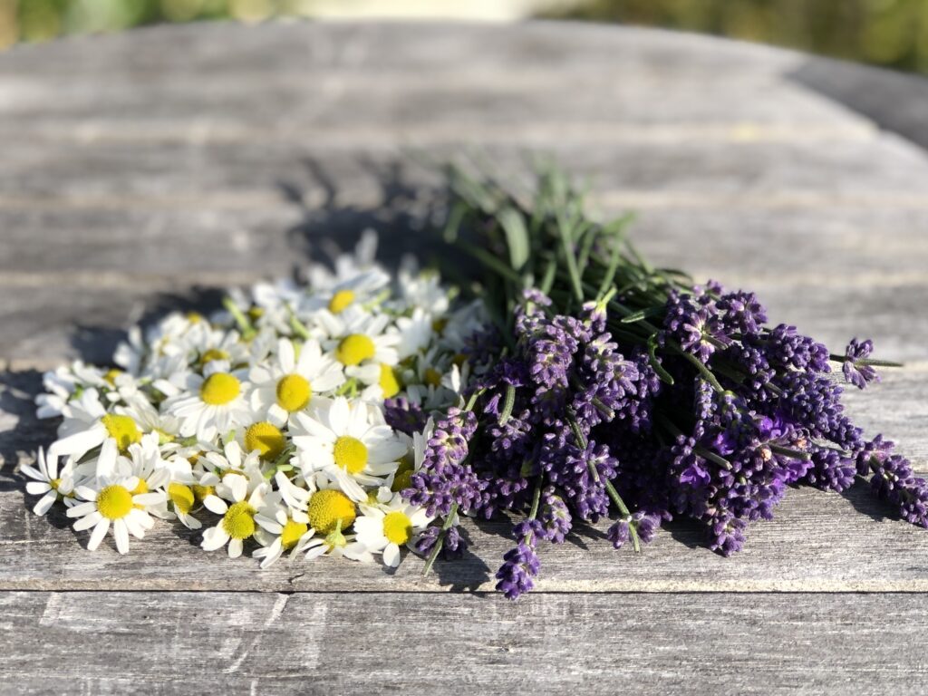 Kamomillblommor och lavendel ligger på ett bord. 